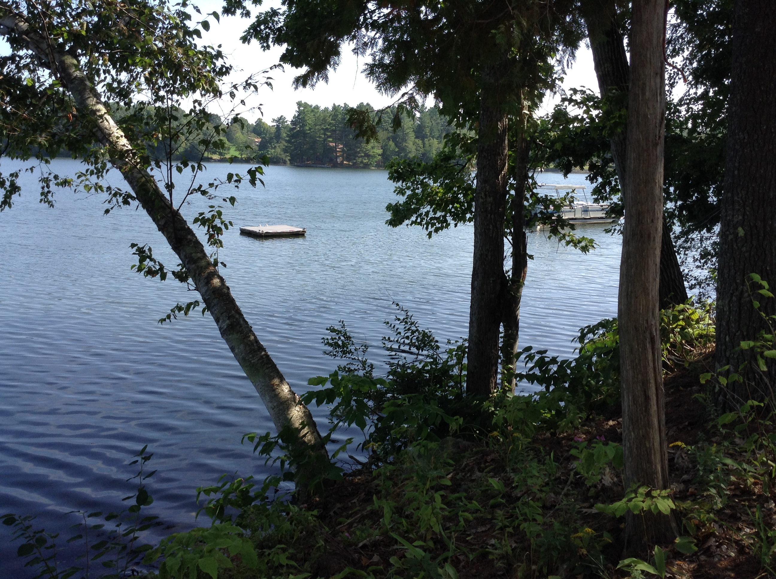 maine/IMG_0494.JPG